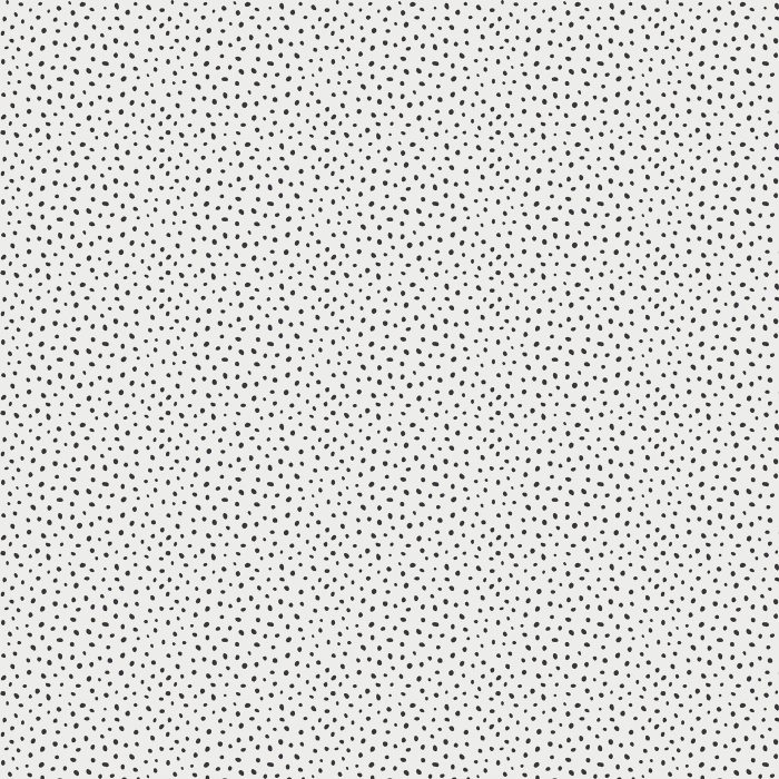 SGF-40301 Scattered Pebbles - Image 2