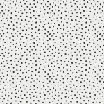 SGF-40301 Scattered Pebbles