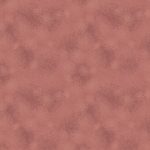 FE-561 Canyon Echo - Image 2